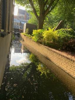 Afbeelding met buitenshuis, boom, plant, water

Door AI gegenereerde inhoud is mogelijk onjuist.